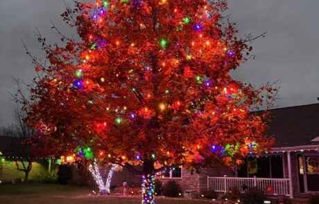 Multicolor Christmas lights wrapping a front-yard tree and its trunk at a Northeast Wisconsin home, installed by Lighting Squad
