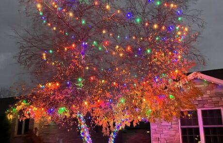 Colorful holiday lights covering a residential tree beside a stone home, installed by Lighting Squad