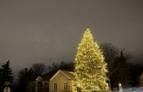 Tall evergreen tree wrapped in warm-white Christmas lights at a residential entrance, by Lighting Squad