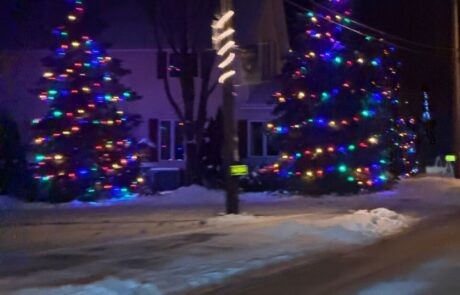 Multicolor Christmas lights on two evergreen trees at a home on a snowy street, installed by Lighting Squad